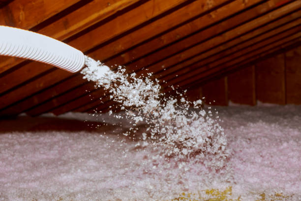 Best Eco-Friendly Insulation in Hoopers Creek, NC