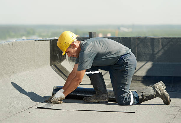 Best Cellulose Insulation in Hoopers Creek, NC