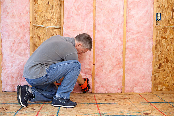Best Cellulose Insulation in Hoopers Creek, NC