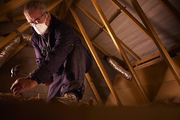  Hoopers Creek, NC Insulation Contractor Pros